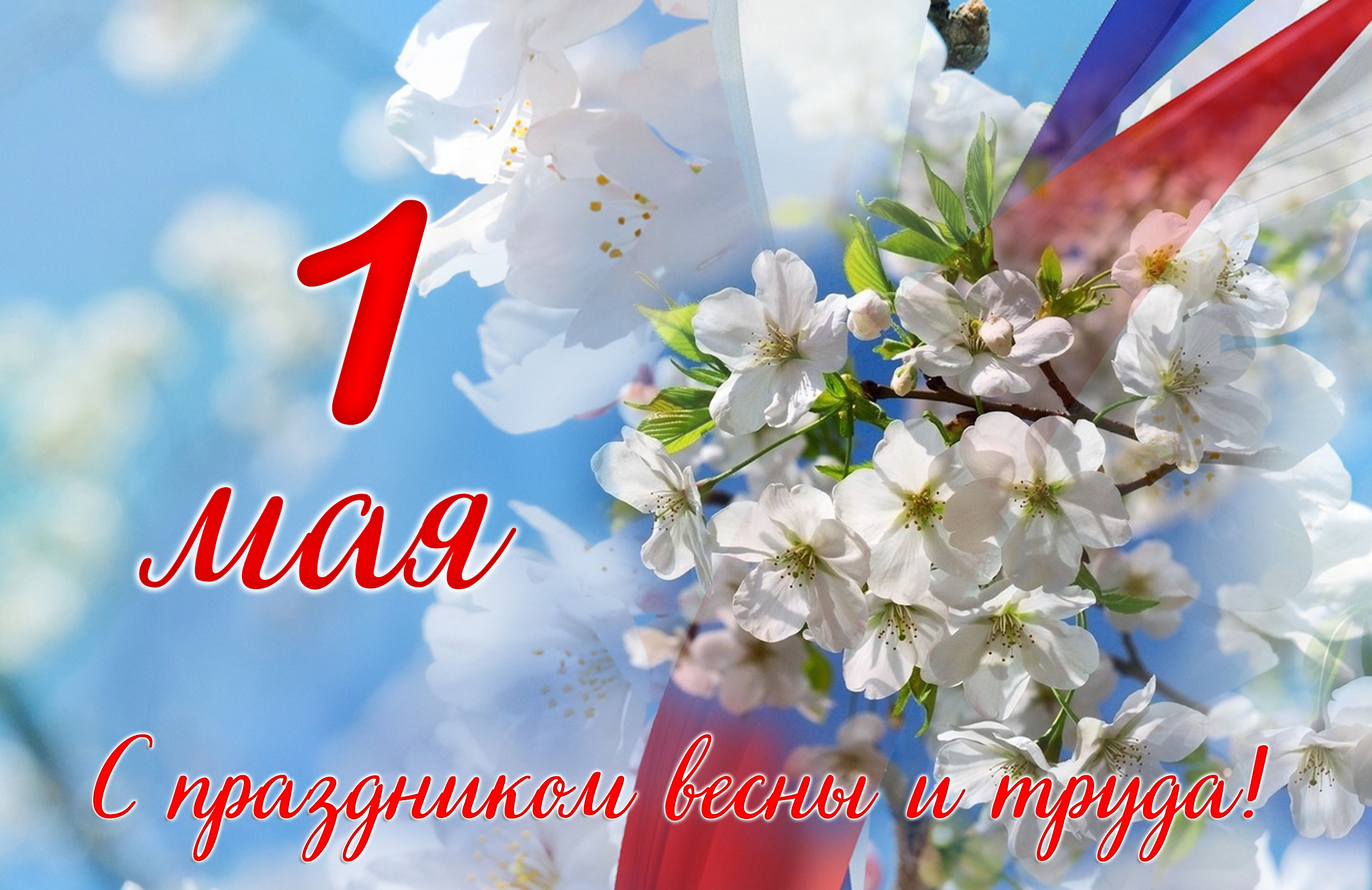 &amp;quot;Миру - Мир!&amp;quot;.